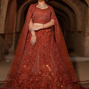 heavy bridal lehenga in red colour